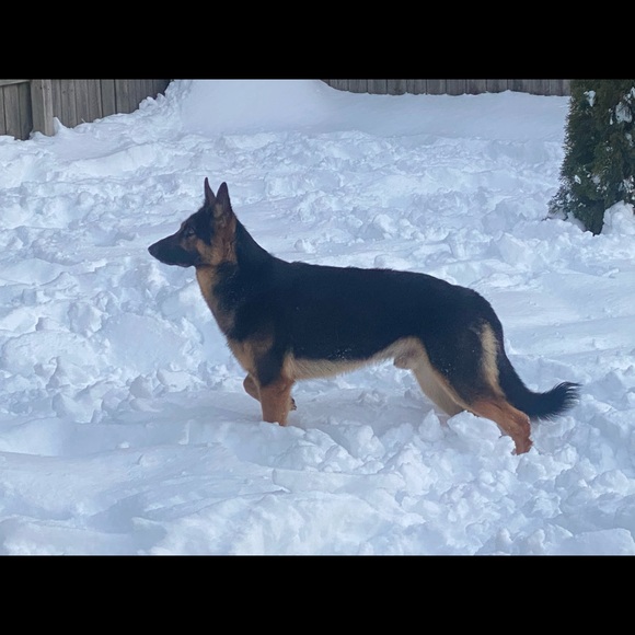 Hey this is me! - Picture 4 of 11